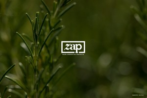 ZAP2
